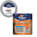 Ma Couleur Sur-Mesure par Dulux Valentine – Peinture Intérieure Murs, Plafonds, Boiseries - Palette expressive, Pièce à Vivre Mat, Terre d'Argile , 0,5 L