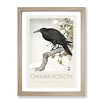 A Crow On The Blossom Tree By Ohara Koson Exhibition Museum Asian Japanese Framed Wall Art Print, Ready to Hang Picture for Living Room Bedroom Home Office Décor, Oak A2 (64 x 46 cm)