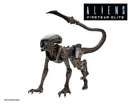 Neca Aliens Fireteam Elite Runner Alien 23 cm Series 1 OBO