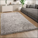 Tapis Salon Chambre Adulte Poil Long Shaggy Pelucheux Moderne Uni, Dimension:200 cm carré, Couleur:Gris