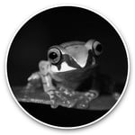 2 x Vinyl Stickers 7.5cm (bw) - Madagascan Tree Frog Madagascar  #36971