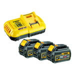 DEWALT Kit batteries et chargeur 3xBatterie 54V /108 Wh DCB118T3-QW