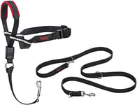 Halti Optifit 14324W Ensemble Combinaison de Licol et Laisse de Dressage pour empêcher Le Chien de Tirer Lors des promenades avec halti, avec Licol Optifit Moyen et Laisse à Double extrémité, Noir,