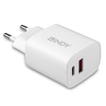 LINDY 20W USB Type A & C Charger