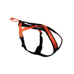 Non-Stop Dogwear Rush Hundesele Orange (1)