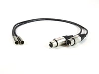 Blackmagic Design Mini XLR to XLR cable  2-pack