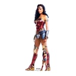 Wonder Woman 1984 (WW84) Official Lifesize Cardboard Cutout with FREE Mini