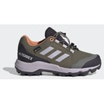 adidas Terrex Gore-tex Hiking Shoes, størrelse 36⅔