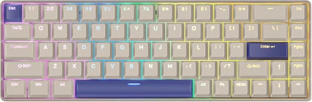 G65 Rapid Trigger Clavier Mecanique Interrupteurs Magnetiques 68 Touches Oem Profil Pbt Keycap Double Coup Gaming Keycap Custom