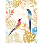 Birthday Card Colourful Tropical Birds Print Premium Aloha | FREE UK Shipping