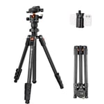 K&F Concept Tripod for Camera and Phone, 64 inch/163cm Aluminum Travel Outdoor Tripod with Metal Ball Head Load Capacity 10kg/22lbs, Phone Holder, for DSLR Cameras K234A0+BH-28L