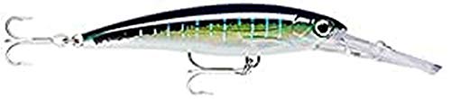 Rapala Leurre de Pêche X-Rap Magnum-Matériel Grande Bavette Plongeante Mer-Profondeur de Nage 6m-14cm / 46g-Fabriqué en Estonie-Silver Unisex-Adult, Multicolore, Standard