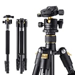 K&F Concept Compact Camera Tripod, 64" Tripod for Landscape Photography, with Detachable Monopod 360 Panorama Ball Head Carrying Bag 10KG/22lbs Load Capacity for SLR DSLR Digital Camera B234A1+BH-28L