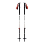 793661508618 Black Diamond Expedition 2 ski pole 2 pc(s) 155 cm Black, Grey Blac