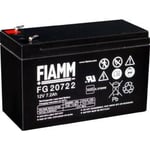 Fiamm FG 20722 12V - 7.2 Ah