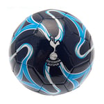 Tottenham Hotspur FC Cosmos Colour Size 1 Skill Ball Merchandise Xmas Birthday