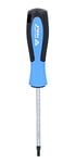 BRILLIANT TOOLS TORX Screwdriver T25 x 100 mm [Powered by KS Tools]