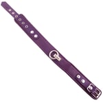 Rouge Bondage Fetish BDSM Purple Plain 1.75 Inch Wide Leather Adjustable Collar