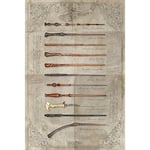 Harry Potter™ The Wands Plakat