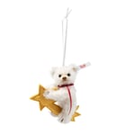 Steiff 007248 Teddy Bear Ornament on Shooting Star White Mohair Limited Edition