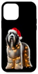 Coque pour iPhone 12 mini Chapeau de Père Noël pour chien de berger polonais des plaines