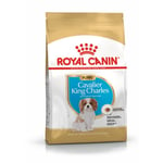 Foder Royal Canin Cavalier King Charles Spaniel Puppy 1,5 Kg