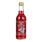 Potions Cauldron Basilisk Blood Mixed Fruit Soda 330ml