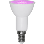 LED-Lampa E14 PAR16 Plant Light - 50lm Röd