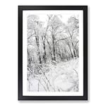 Big Box Art Winter Forest Vol.4 Painting Framed Wall Art Picture Print Ready to Hang, Black A2 (62 x 45 cm)