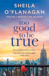 Too Good To Be True: A feel-good read of romance and adventure