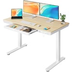 ErGear Bureau Assis Debout Électrique, Bureau Réglable en Hauteur 120 x 60 cm, Bureau avec Rangement avec Tiroir et 2 Ports de Charge, Bureau Debout avec 3 Mémoires pour Bureau à Domicile