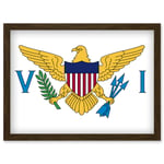 Virgin Islands (U.S.) National Flag Vexillology World Flags Country Region Poster Artwork Framed Wall Art Print A4