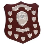 Trophies Plus Medals Champion Silver Annual Shield Presentation Award 35.5cm (14") FREE ENGRAVING