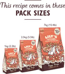 Lily's Kitchen Made with Natural Ingredients Puppy Dry Dog Food Chicken, Salmon