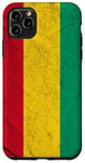 iPhone 11 Pro Max Guinea Flag Colours Guinean Gift for Guineans Case