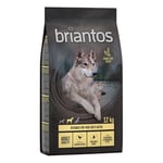 Briantos Adult Mobility kana & peruna - viljaton - 12 kg