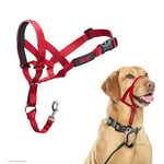 HALTI Headcollar Size 3 Red, UK Bestselling Dog Head Harness to Stop Pulling on the Lead, Easy to Use, Padded Nose Band, Adjustable & Reflective, Professional Anti-Pull Training Aid for Medium Dogs