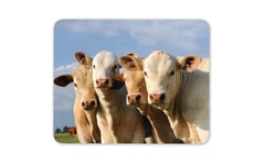 Cute Set of Cows Mouse Mat Pad - Cow Animal Farm Farmer Gift PC Computer #8249