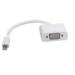 Rotronic rOLINE Adaptateur Mini displayPort vers vGA Femelle