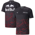 Oracle Red Bull Racing Officiell Team T-shirt med Korta Ärmar för Män 2024 F M