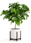 Fox & Fern Support de plantes en bois pour pots de fleurs, support de plantes d'intérieur, robuste et réglable, facile à assembler, support de pot de fleurs en bambou, respectueux de l'environnement