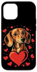 Coque pour iPhone 12/12 Pro Coeurs de teckel pour la Saint-Valentin