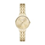 Skagen Anita Lille Montre pour Femmes, Mouvement à Quartz avec Bracelet en Acier Inoxydable Ou en Cuir, Ton Or, 30Mm