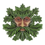 Green Man Resin Wall Plaque 18 cm High Folklore Pagan Spirit of the Trees