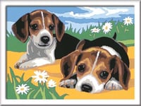 Ravensburger - 283293 - Numéro d'art Set Jack Russel Chiots