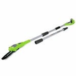 Greenworks Stångsåg Med 24 V 2 Ah-batteri G24ps20 20 Cm 2000107u Flerfärgsdesign