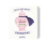 Valentine's Day Card Harry Potter Love Potion We've Got Great Chemistry