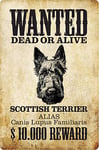 Schatzmix Wanted Dead Alive Scottish Terrier Plaque métallique en tôle Multicolore 20 x 30 cm