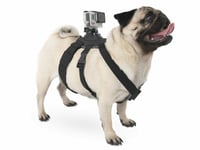 Action Camera Dog Harness Chest Fetch Mount. Gopro, DJI, Apeman, Victure etc