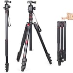 Trépied professionnel pour appareil photo INNOREL RT30, léger en alliage d'aluminium, hauteur maximale 197 cm avec rotule panoramique B36N CNC 36 mm pour prise de vue d'appareil photo reflex numérique